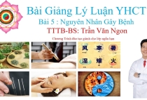 Bài Giảng Lý Luận YHCT Bài 5 Nguyên Nhân Gây Bệnh - Bác Sĩ Trần Văn Ngon Bài Giảng Lý Luận YHCT Bài 5 Nguyên Nhân Gây Bệnh - Bác Sĩ Trần Văn Ngon