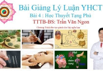 Bài Giảng Lý Luận YHCT Bài 4 Học Thuyết Tạng Phủ - Bác Sĩ Trần Văn Ngon Bài Giảng Lý Luận YHCT Bài 4 Học Thuyết Tạng Phủ - Bác Sĩ Trần Văn Ngon