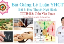 BÀI GIẢNG 3 : HỌC THUYẾT NGŨ HÀNH - TTTB-BS TRẦN VĂN NGON BÀI GIẢNG 3 : HỌC THUYẾT NGŨ HÀNH - TTTB-BS TRẦN VĂN NGON