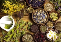 VỀ VIỆC BAN HÀNH QUY TRÌNH KỸ THUẬT Y HỌC CỔ TRUYỀN VỀ VIỆC BAN HÀNH QUY TRÌNH KỸ THUẬT Y HỌC CỔ TRUYỀN