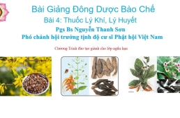 Bài 4 Thuốc Lý Khí, Lý Huyết-Pgs Bs Nguyễn Thanh Sơn- PCH hội trưởng tịnh độ cư sĩ Phật hội Việt Nam