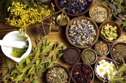 VỀ VIỆC BAN HÀNH QUY TRÌNH KỸ THUẬT Y HỌC CỔ TRUYỀN