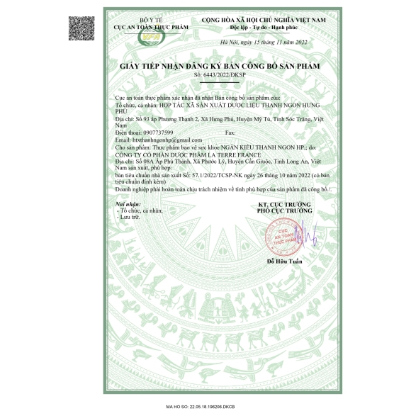 NGÂN KIỀU THANH NGON HP